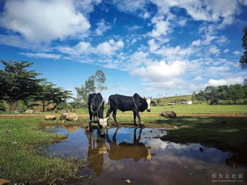 1564192364824016.png image.png