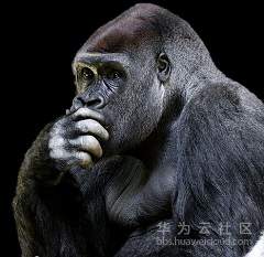 animal-world-4328243__480.jpg