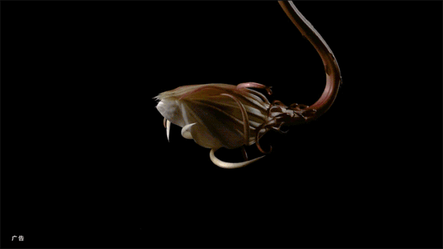 1571819216410386.gif 640 (1).gif