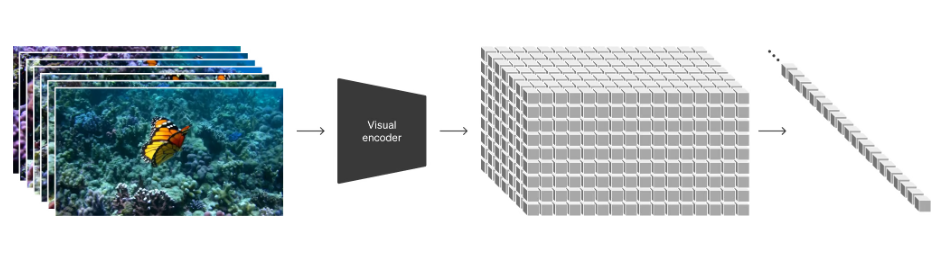 将视觉数据转化为patches