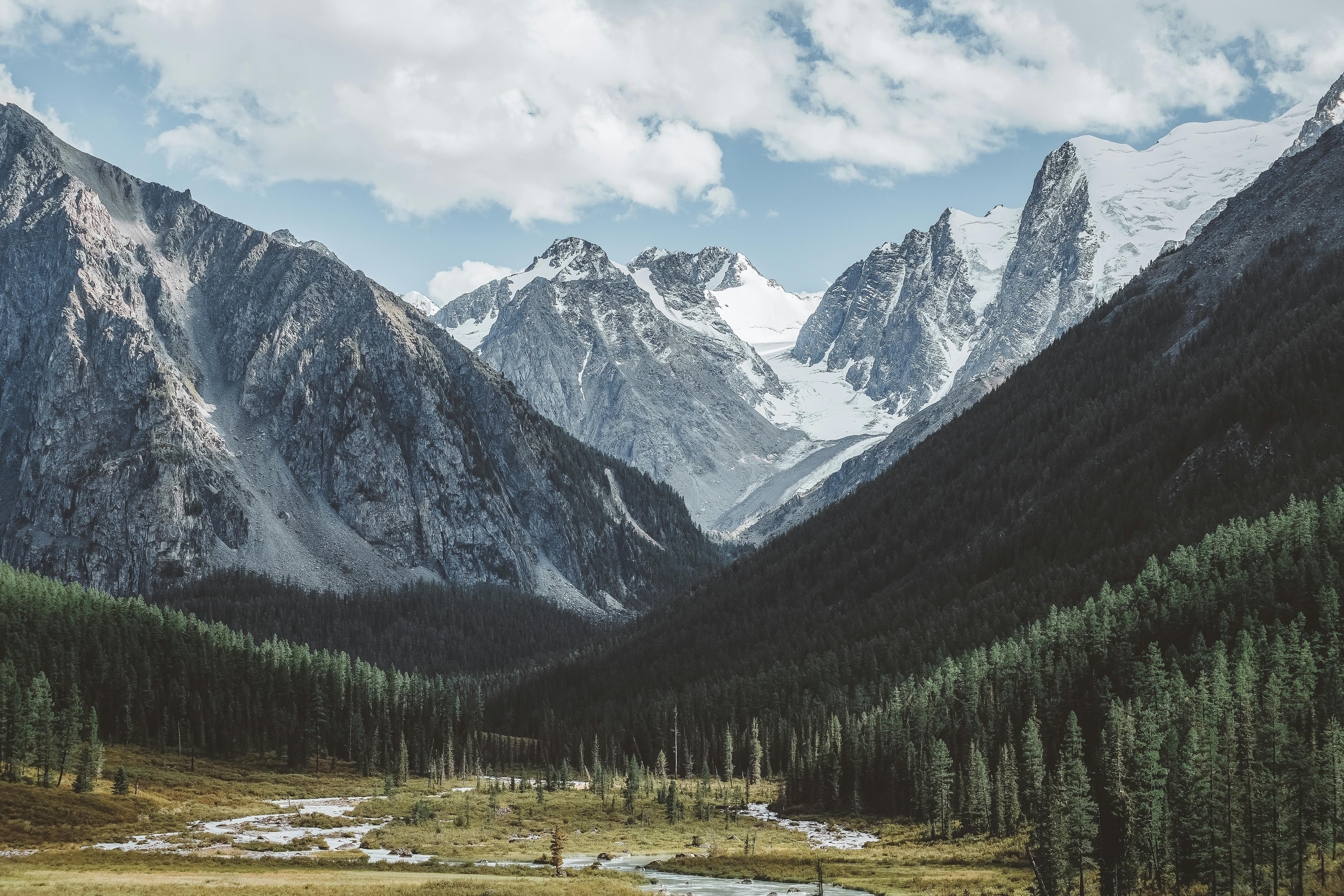 the-importance-of-domestic-production-1