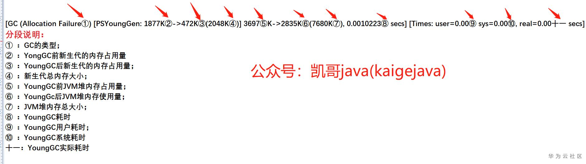 1605925135311038885.png