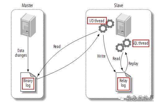 1548386711282382.jpeg 0 (5).jpeg