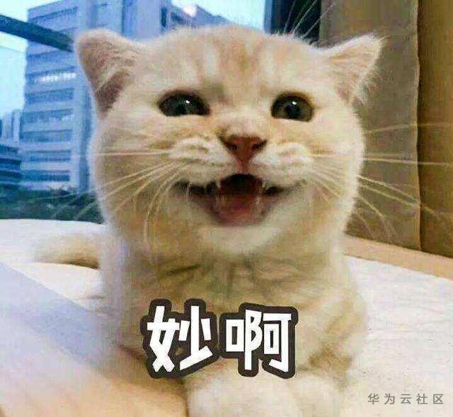 1594795464356078026.png image.png