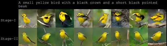 HDC31.jpg