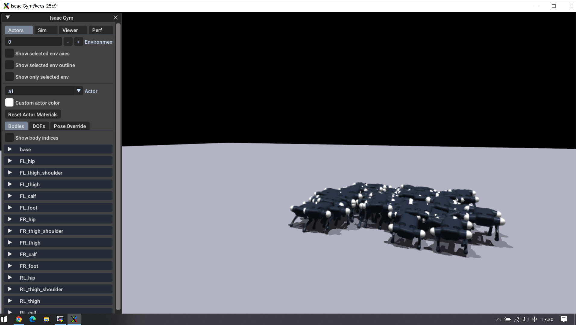 issgym_train.png