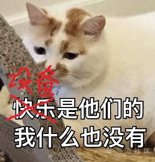 我什么也没有.jpg