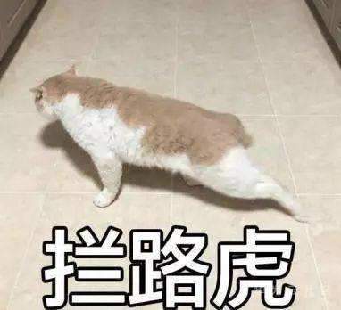 拦路虎.jpg