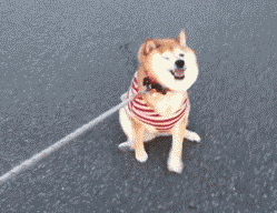 倔强.png