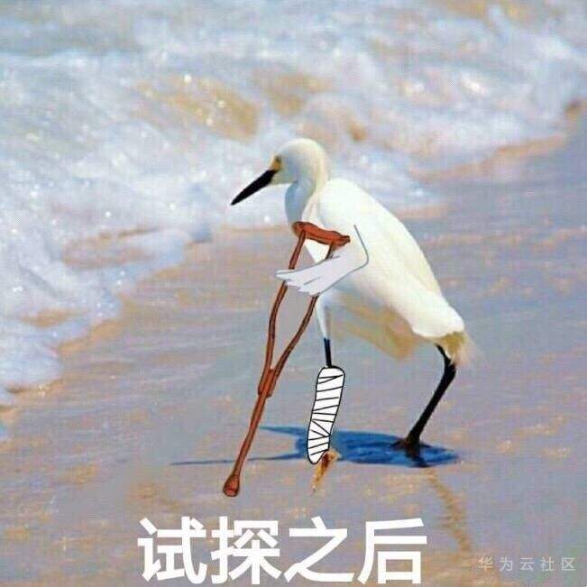 试探之后.jpg