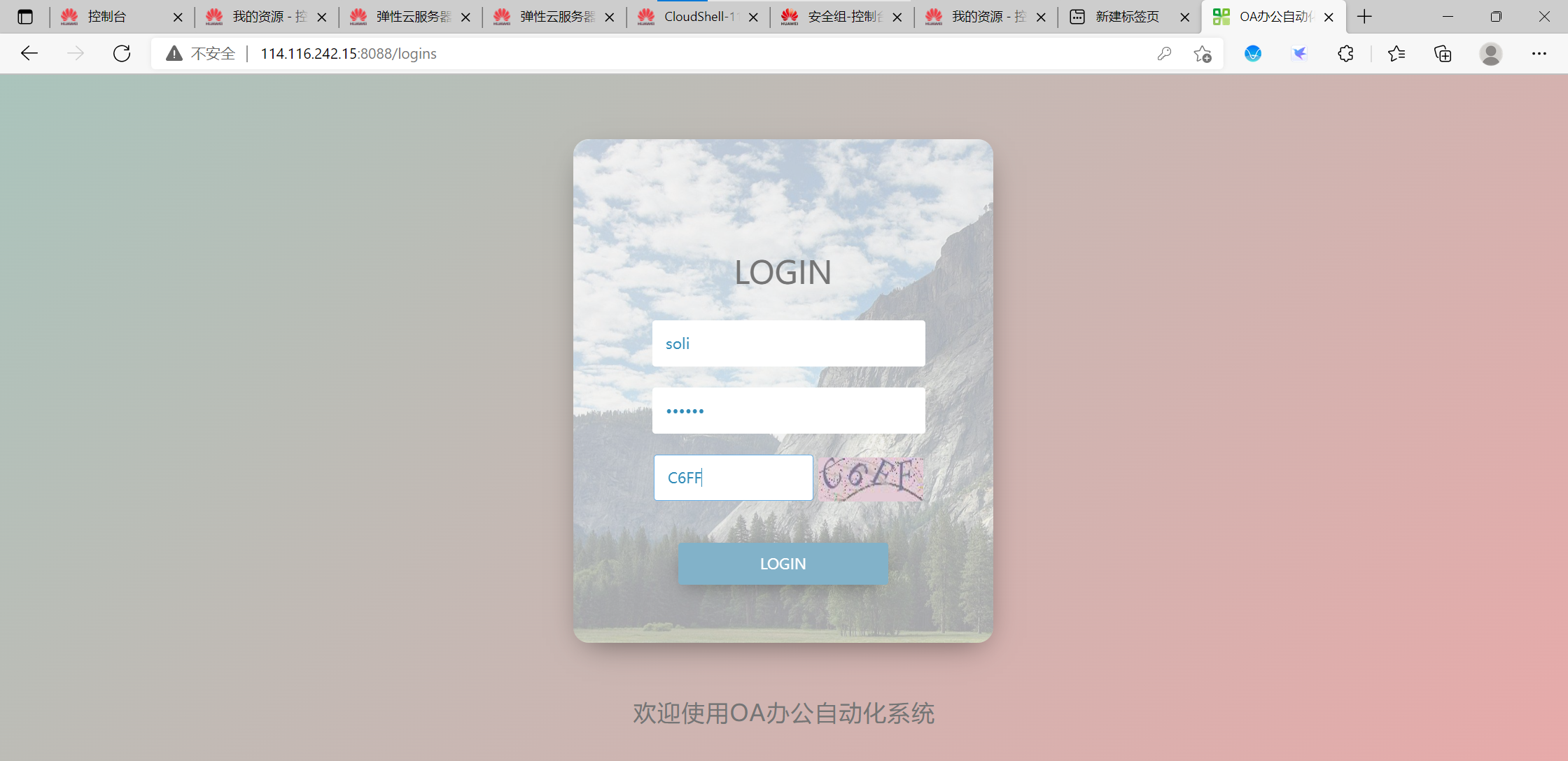 部署成功.png