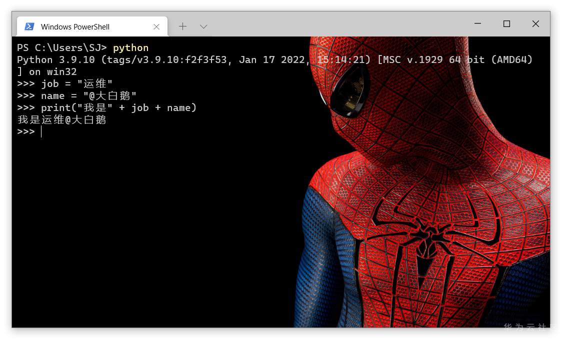 变量的组合输出