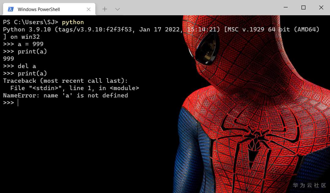 del删除变量引用
