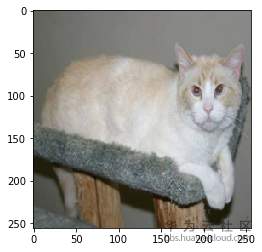 1567677829629798.png 28.png