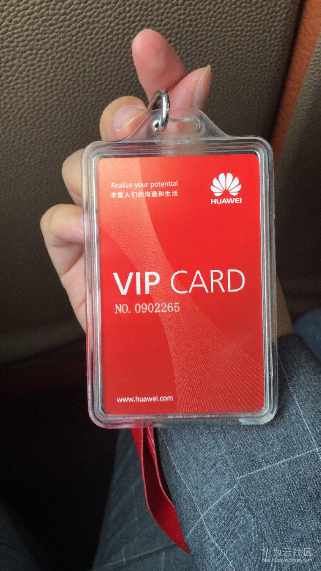 QQ图片20190308131016.jpg