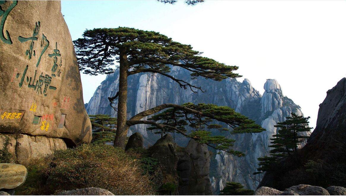 黄山02.jpg