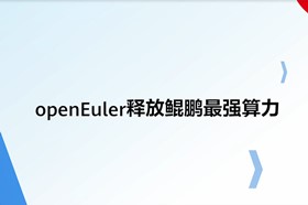 视频图像