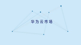 视频图像