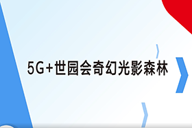 视频图像