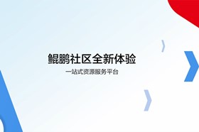 视频图像